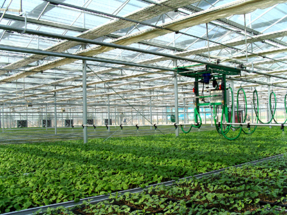 陜西楊凌:深化農村金融改革的破冰者