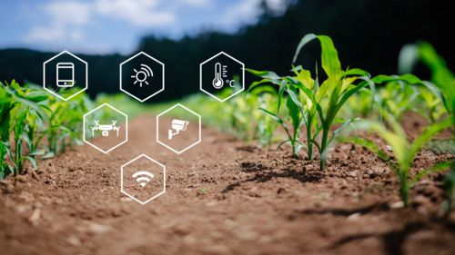 【農業科技】區塊鏈技術如何破解農業溯源核心難題