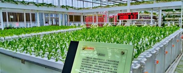 強化農業科技創新與應用的內容,需實施現代種業科技支撐等行動