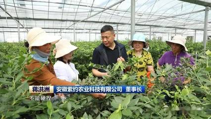 安徽:特色產業為鄉村振興注入蓬勃生機