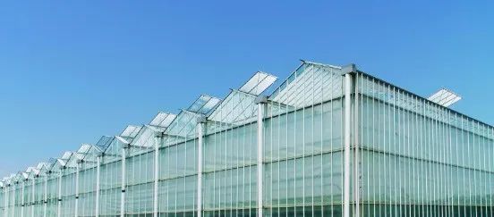 【農業科技】中央一號文件中提到的設施農業就是這個