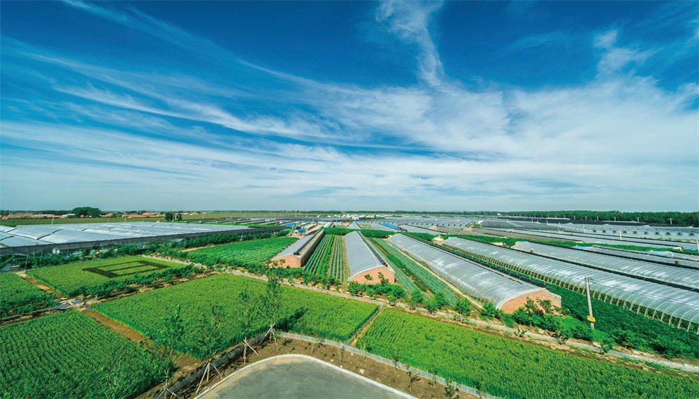 運糧湖管理區鐵嶺賀家園區-基地介紹-遼寧依農農業科技有限.