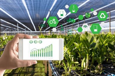 【政策解讀】《2022 年數字鄉村發展工作要點》發布,加速農業數字化轉型