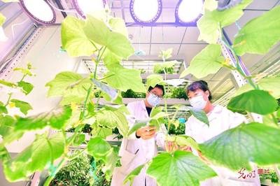 現代科技賦能智慧農業