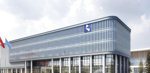 容百科技2022年實現營收301.23億元,同比增長193.62