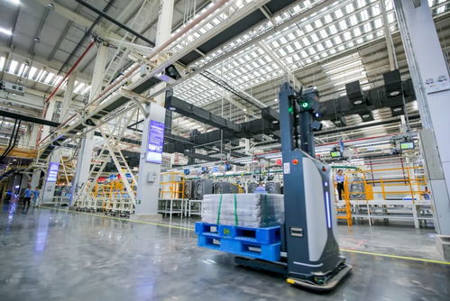 高質量發(fā)展調研行⑧ 人民日報海外版 從 險在荊江 到 美在荊江