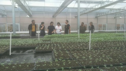 石棉縣農業農村局科技特派團在迎政鄉指導蔬菜育苗工作