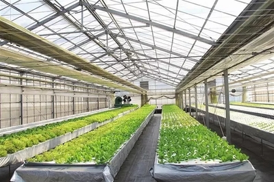 技術創新 實現農業+科技&ldquo;一盤棋&rdquo;