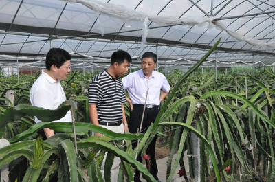 省農(nóng)業(yè)廳廳長胡漢平一行在蘆溪調(diào)研_財經(jīng)_網(wǎng)