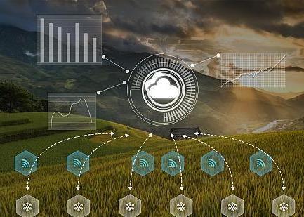 赫章松林坡鄉(xiāng):年產(chǎn)蔬菜3萬余噸 多元化種植助力產(chǎn)業(yè)振興