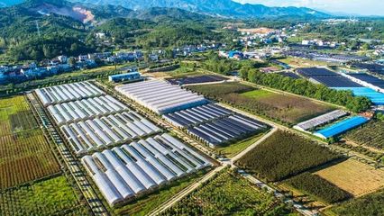 萬秀園 科技領航，生態農業——容業科技的創新實踐