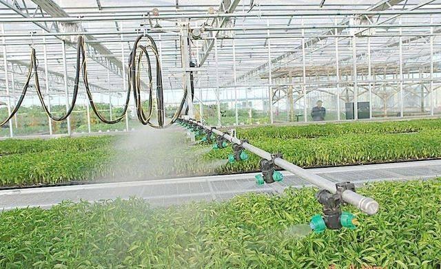 高科技現代農業 辭職回鄉創業，收入比打工高10倍的農業革命