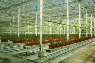 注入動能 激發活力 相城區農業產業化發展“蹄疾步穩”的容業科技實踐