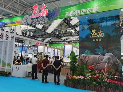 探館農(nóng)高會 容業(yè)科技帶你暢享“綠色硅谷”的“農(nóng)科盛宴”